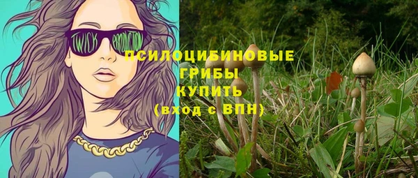 бошки Алзамай