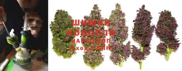 бошки Алзамай
